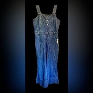 Aerie Blue Denim Jumpsuit